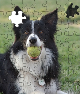 puzzle-consensus